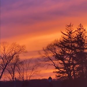 Meet your Posher, Japsheet